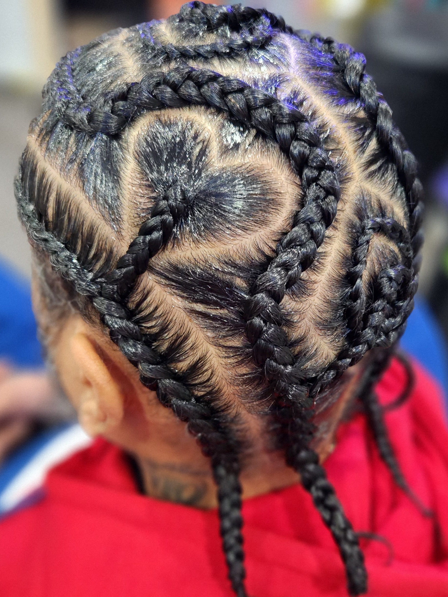 Braids photo